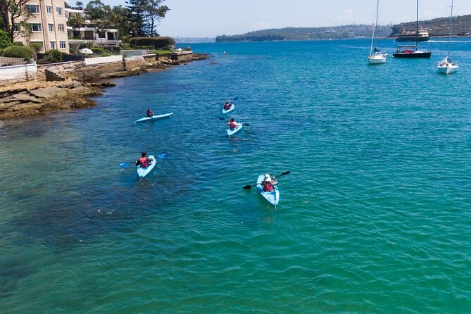 Guided Kayak Tour of Manly Cove Beaches - Quarantine Beach: secluded downtime, coffee, and a swim option