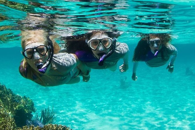 Guided Snorkeling Experience in Bondi - Choosing your snorkel site: Gordons Bay, Clovelly, Little Bay, Malabar