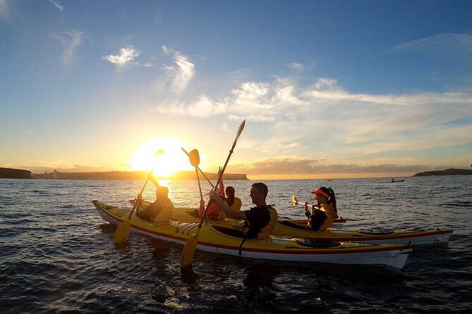 Guided Snorkeling Experience in Bondi - First-timer friendly coaching: how they keep it comfortable