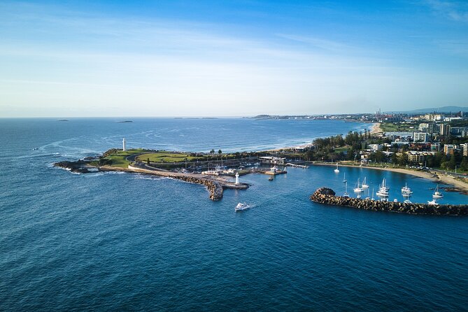 Half-Day Deep Sea Fishing in Wollongong - Weekdays only - The Catch: Species Options and What Happens After You Land Fish