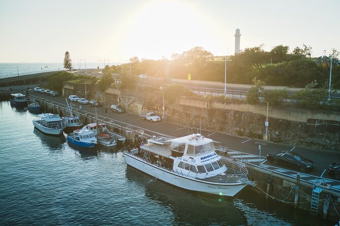 Half-Day Deep Sea Fishing in Wollongong - Weekdays only - Meeting at Aquilla Fishing Charters at 6:00am (and Why It Helps)