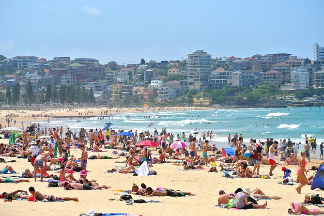 Half-Day or Full-Day Private Guide Hire From Sydney - Hotel pickup, comfortable transport, and fewer trip headaches