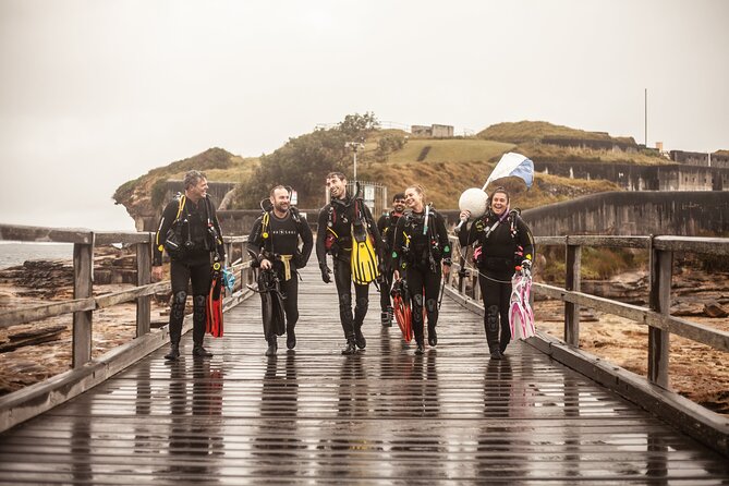 Half-Day Private Discover Dive at Australia's Iconic Beach - Key Highlights Worth Planning Around