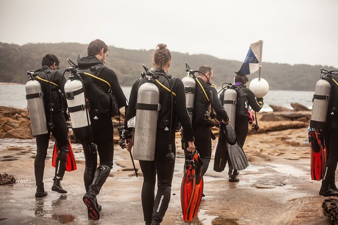 Half-Day Private Discover Dive at Australia's Iconic Beach - Private Means You Can Adjust Your Comfort, Not Just the Equipment