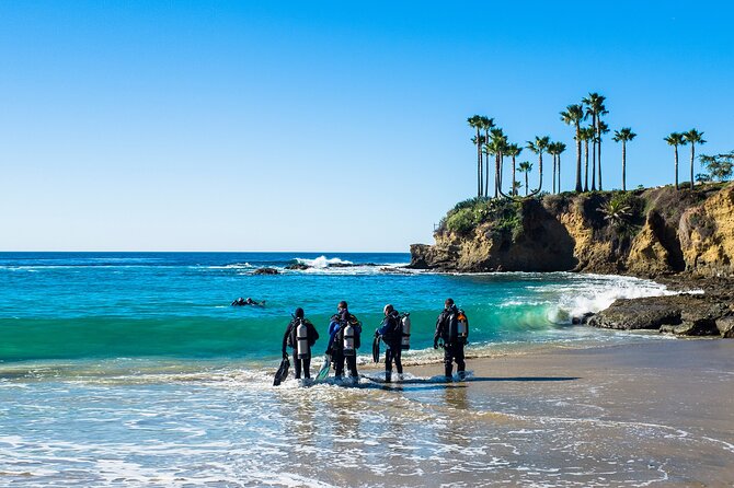 Half-Day Private Discover Dive at Australia's Iconic Beach - Price and Value: Is $376.55 per Group Actually Fair?