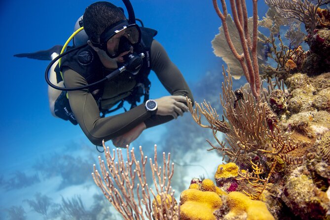 Half-Day Private Discover Dive at Australia's Iconic Beach - What You Bring (and What You Don’t) for a Smooth Beginner Setup