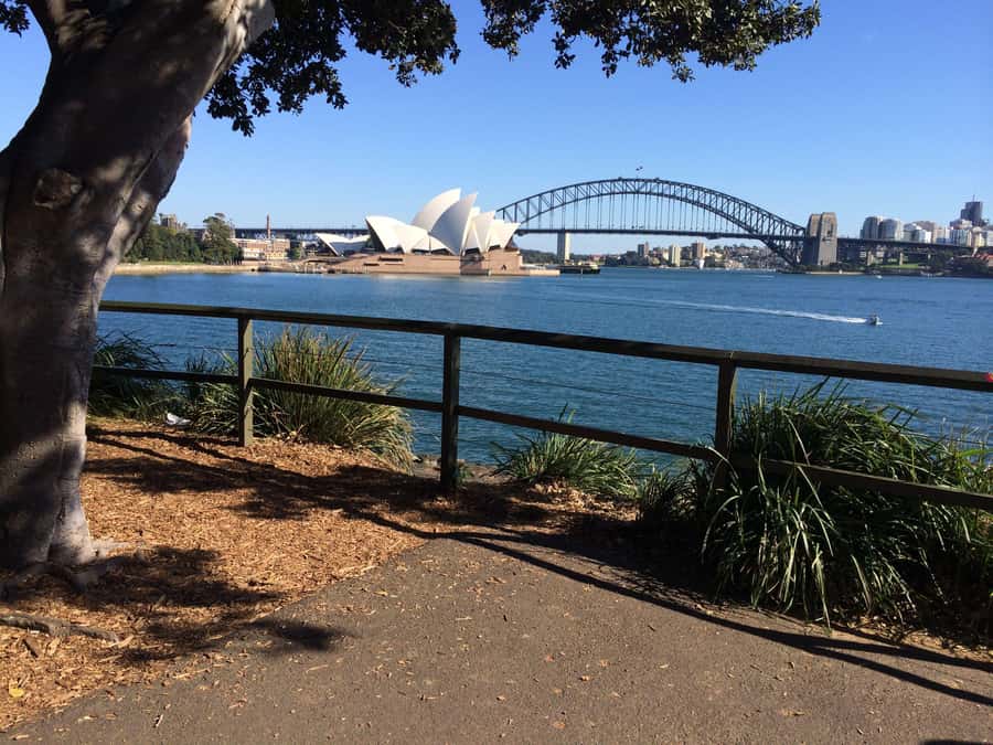 Half Day Small Group : The Story of Sydney Tour - Bondi Beach and the shopping-and-sightseeing rhythm