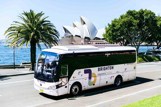 Half-Day Sydney Rocks Walking and Bondi Beach City Tour - The Rocks highlights: what to look for on the cobblestones