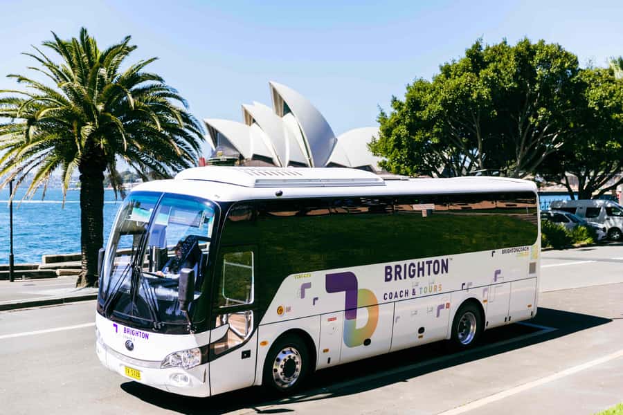 Half Day Sydney Sightseeing Tour - The Rocks & Bondi Beach - Simple Tips to Make Your 4 Hours Feel Smooth