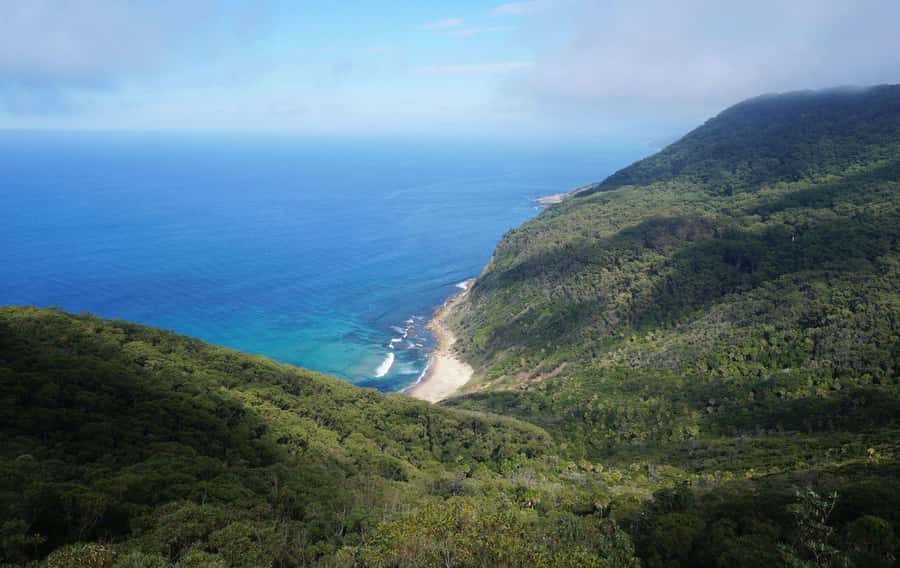 Hidden beaches and waterfalls Day trip ! - The guided coastal hike: where kangaroos meet cliff views
