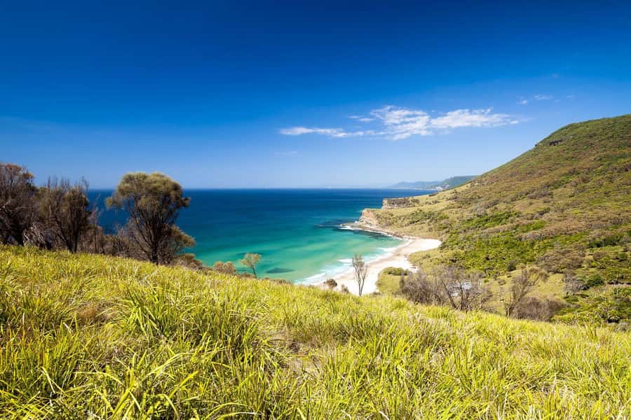 Hidden beaches and waterfalls Day trip ! - From Bondi Junction to the park, one clean schedule