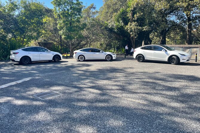 Hire Car and Limousine Service - Your Transfer Journey, Step by Step