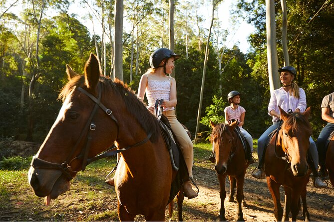 Horse Riding, Koalas & Kangaroos - Wild Australia: Private Tour - Walkabout Wildlife Sanctuary: koalas, kangaroos, and time to actually watch