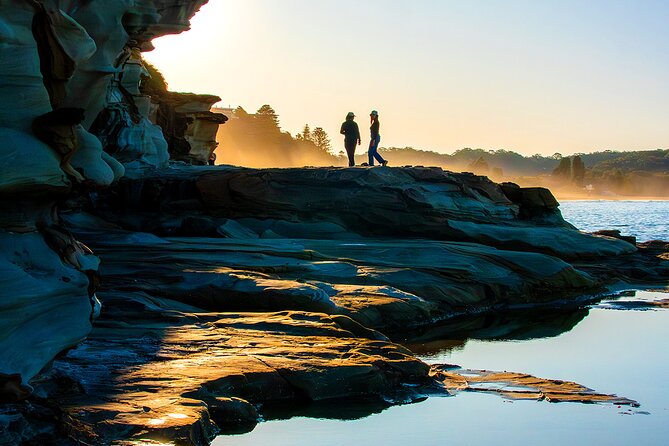 Horse Riding, Koalas & Kangaroos - Wild Australia: Private Tour - Warrah Lookout flying fox and fruit bat viewing