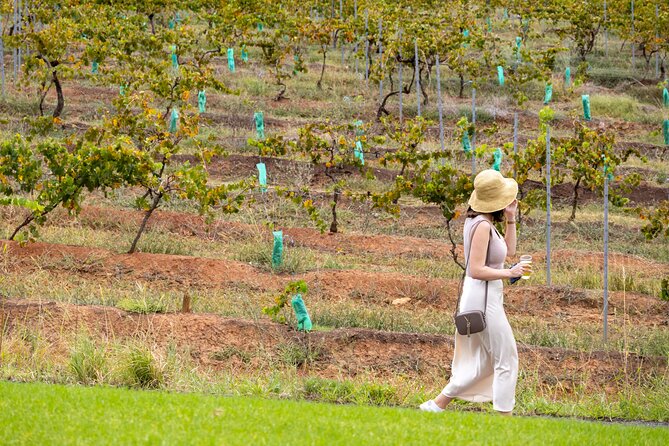 Hunter Valley All Inclusive, Wine, Chocolate Tasting and Lunch - Transportation comfort and pacing: what the day feels like