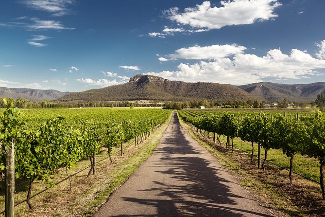 Hunter Valley Highlights Private Wine Tour from Sydney - Cheese and chocolate stops: quick breaks that make tastings easier