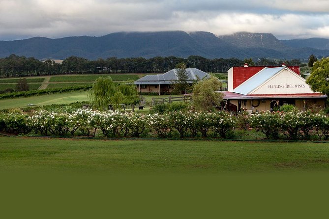 Hunter Valley Highlights Private Wine Tour from Sydney - Cafe Enzo lunch: where to plan your budget