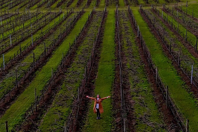 Hunter Valley Highlights Tour – Wine Tasting & Small Group + Roos - Winery Views and a Photo Stop That Actually Helps