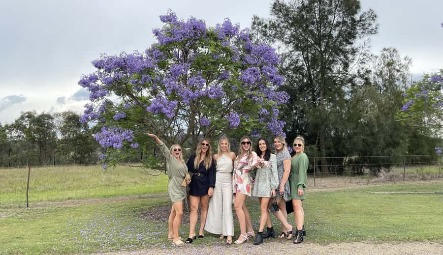 Hunter Valley: Private Day Tour from Sydney with Your Crew! - Mount View vineyards, from iconic cellar doors to calmer choices