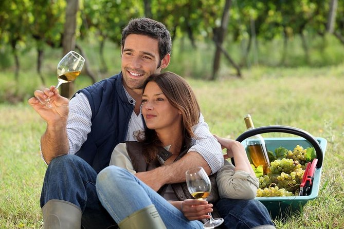 Hunter Valley Private Wine Tasting Tour from Sydney - Getting out of Sydney, with Harbour Bridge momentum