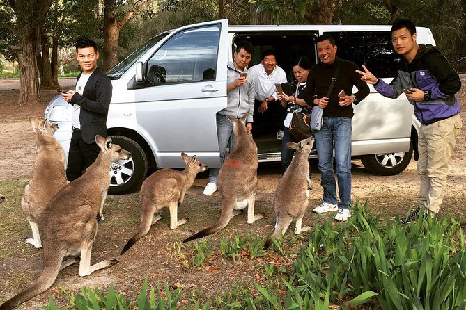 Hunter Valley Private Wine Tasting Tour from Sydney - Three wineries and a real range of tastings