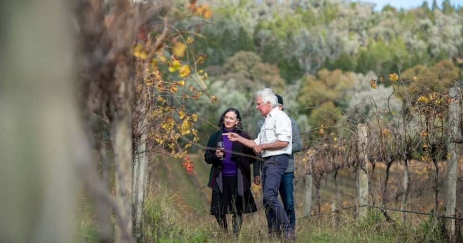 Hunter Valley Tour + Hop-on-Hop-off Big Bus Discover Ticket - The smart combo: Hunter Valley wineries plus Sydney on Big Bus