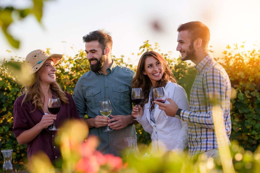 Hunter Valley: Wine, Chocolate and Lunch All Inclusive Tour - Why this Hunter Valley day feels worth your time