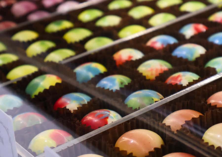 Hunter Valley: Wine, Chocolate and Lunch All Inclusive Tour - How the full schedule stays smooth, even when it feels long