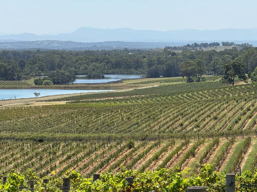 Hunter Valley Wine Tasting | Private Day Tour | From Sydney - Key highlights you will feel right away