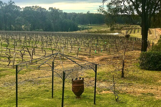 Hunter Valley Wine Tour from Sydney: 3 Wineries & Vineyard Picnic - Hunter Valley Chocolate Company: the small stop that makes a big difference