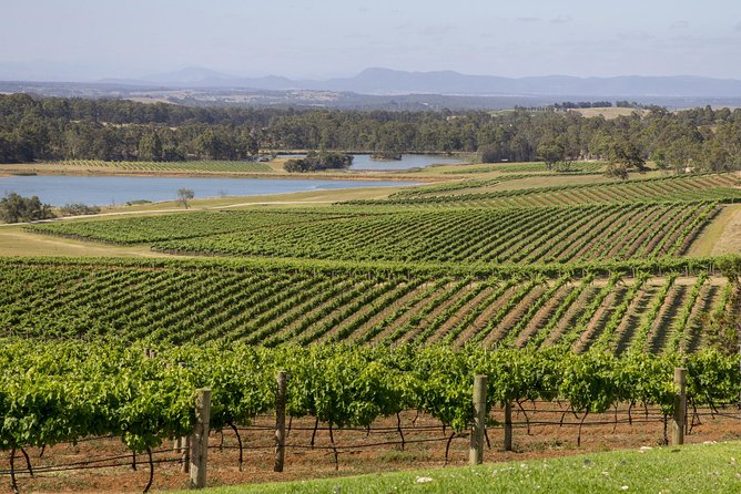 Hunter Valley Wine Tour from Sydney with Lunch and 3 Cellar Door Tastings - Three cellar door tastings in Pokolbin: what you’re really sampling