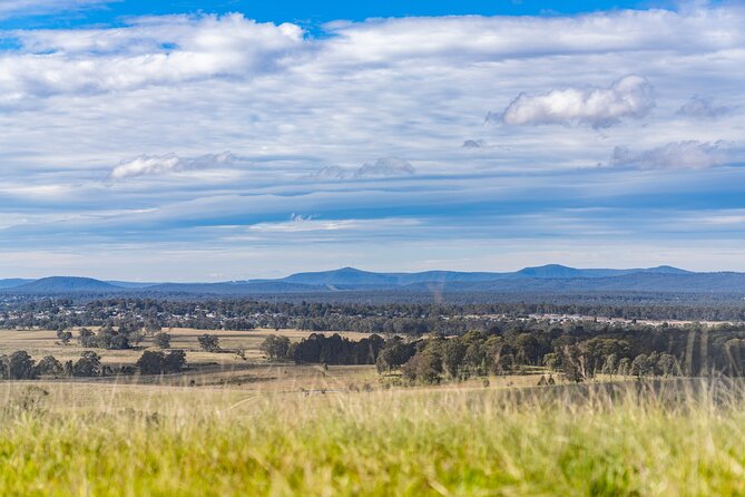 Hunter Valley Wine Tour from Sydney with Lunch and 3 Cellar Door Tastings - Lunch at Hunter Valley Gardens Village: fuel, not an afterthought
