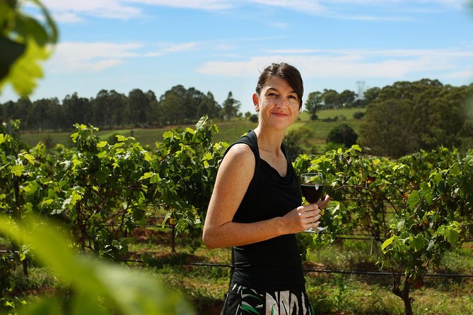 Hunter Valley Wine Tour from Sydney with Lunch and 3 Cellar Door Tastings - Guide-led stories and kangaroos among the vines
