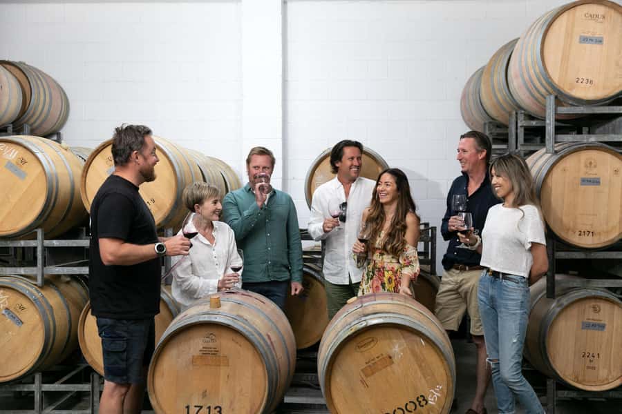 Hunter Valley: Wine Tour with 2-Course Lunch, Choc & Cheese - Key things that make this Hunter Valley tour worth your time
