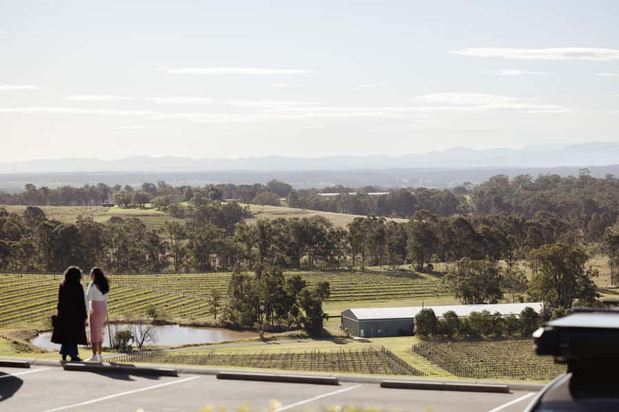 Hunter Valley: Wine Tour with 2-Course Lunch, Choc & Cheese - Coach comfort, timing, and how to survive a full day