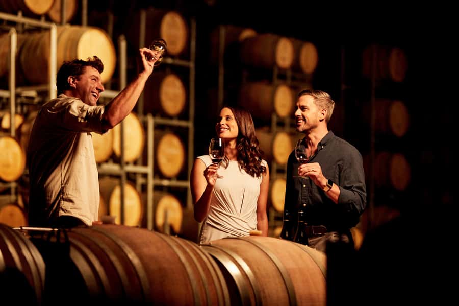 Hunter Valley: Wine Tour with 3 Tastings and Garden Lunch - From Sydney Harbour to the vines: the day’s rhythm