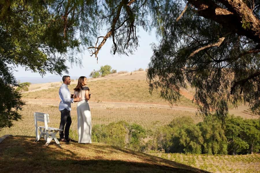 Hunter Valley: Wine Tour with 3 Tastings and Garden Lunch - Hunter Valley Cheese Experience: why this part stands out