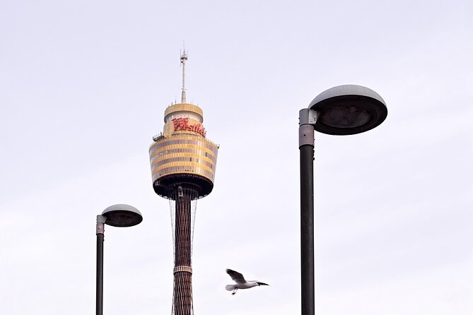 Infinity by Mark Best - Sydney Tower Elegant Dining Experience - Should you book this Sydney Tower revolving dinner?