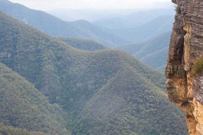 Inside the Greater Blue Mountains World Heritage - A Private Wildlife Safari Overnight - Overnight safari setup, what to confirm before paying