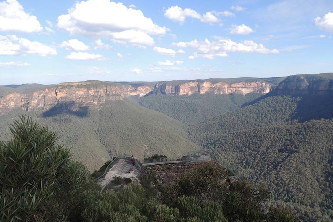 Inside the Greater Blue Mountains World Heritage - A Private Wildlife Safari Overnight - Hartley, Bell’s Line of Road, and the slower way back toward Sydney