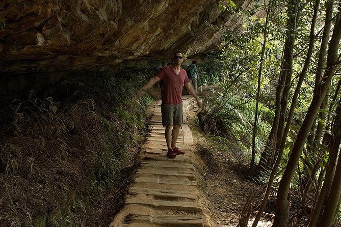 Inside the Greater Blue Mountains World Heritage - A Wildlife Safari Overnight - Central Tablelands return route: Hartley lunch, Botanic Garden, and Bell’s Line