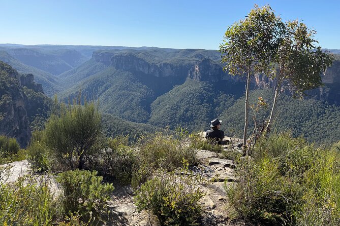 Intimate Blue Mountains Wild Kangaroos & Sunset for Nature Lovers - Landslide Lookout: the short walk that feels off the radar