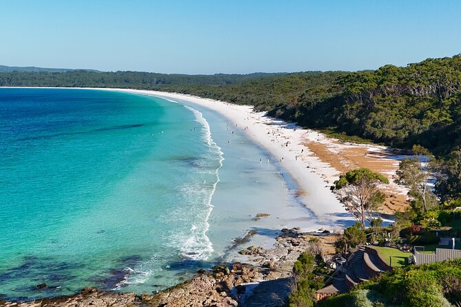 Jervis Bay Highlights Tour – Small Group Experience Scenic Coast - South Coast coast-hopping from Sydney Central, start to finish