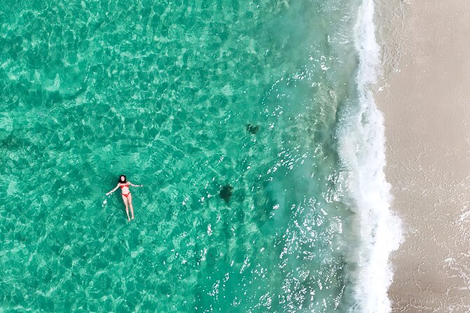 Jervis Bay Highlights Tour – Small Group Experience Scenic Coast - Gerringong lunch break with ocean views, pay your own way