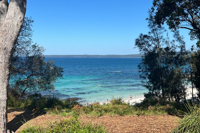 Jervis Bay Private Tour & Pick up & Drop off - Key things I’d highlight before you go