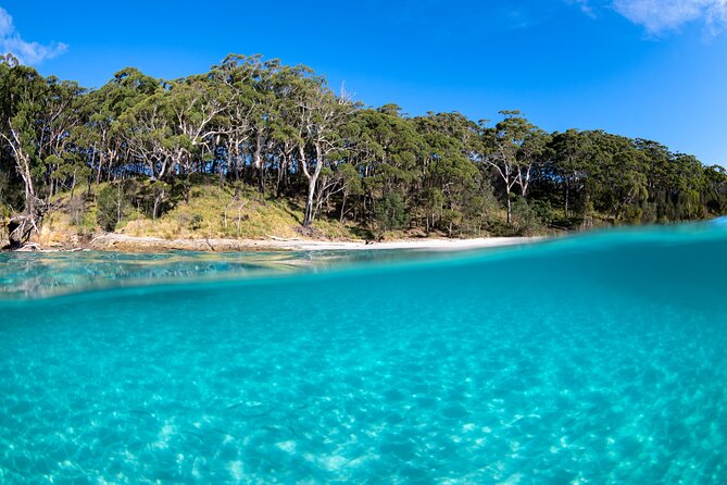 Jervis Bay Private Tour & Pick up & Drop off - Dolphin Watch Cruises Jervis Bay: the included highlight