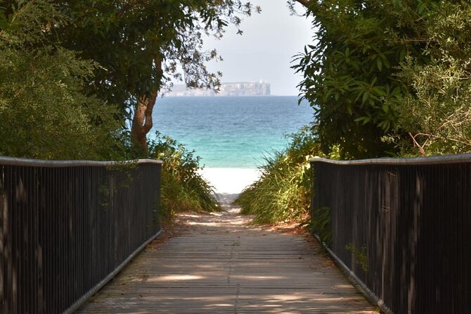 Jervis Bay Tour with Dolphins, Kangaroos & World's Whitest Beach - Why Jervis Bay is worth the long trip from Sydney