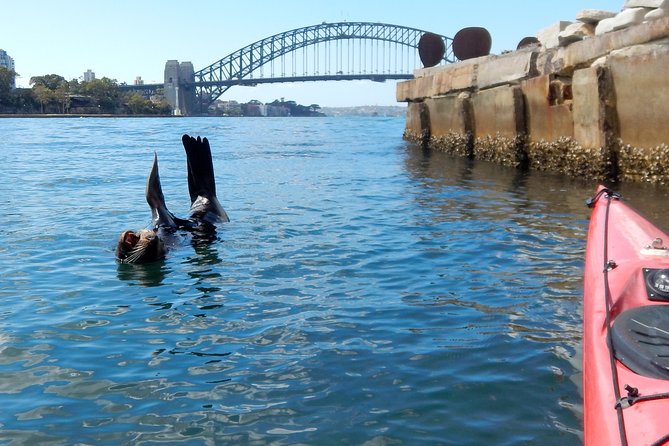 Kayak to Goat Island in Sydney Harbour with Local - What the gear means for you on the day