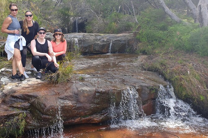 Koala & Kangaroos Experience, Waterfalls and Scenic Train Journey - Woy Woy to Bouddi: Pelicans, Remote Beach Views, and Colorful Coastal Rock