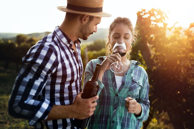 Luxury Hunter Valley Wildlife & Wine Tasting Tour from Sydney - Pokolbin Estate Vineyard: structured tasting in a real wine town